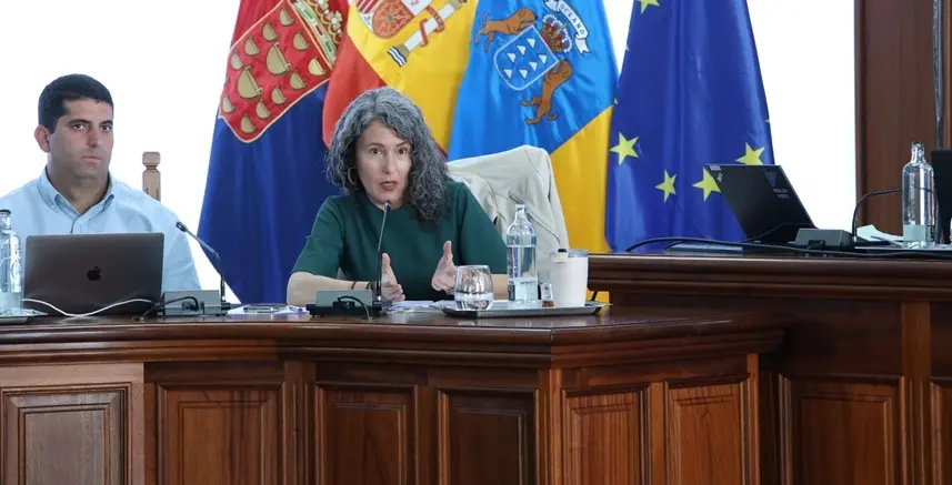 Ariagona Gonz&aacute;lez junto a Benjamin Perdomo en el Pleno del Cabildo.