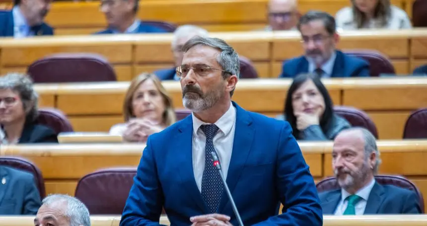 Pedro San Gin&eacute;s durante su intervenci&oacute;n en el Senado de este martes