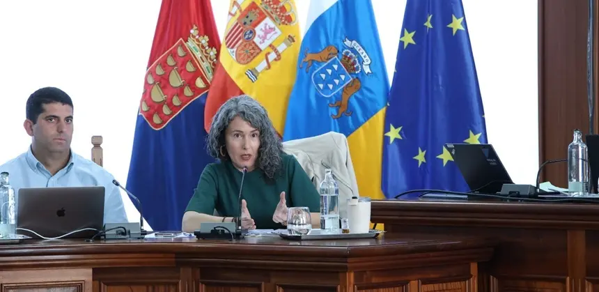 Ariagona Gonz&aacute;lez en el Pleno del Cabildo.