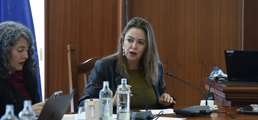 Mar&iacute;a Dolores Corujo en el centro de la imagen en un pleno del Cabildo junto a su compa&ntilde;era Ariagona Gonz&aacute;lez.