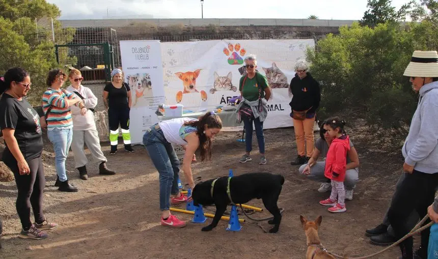 Imagen de las jornadas de bienestar animal celebradas en Yaiza el a&ntilde;o pasado