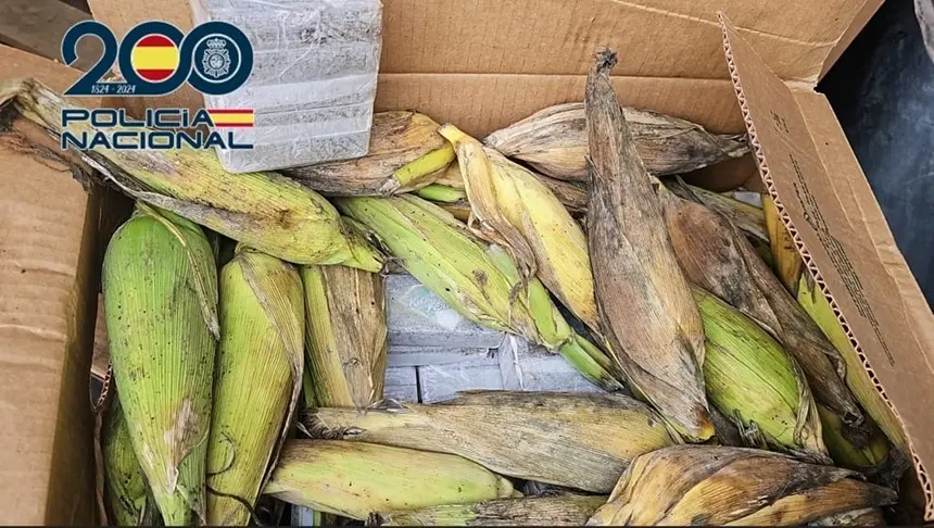 Droga incautada por la Polic&iacute;a Nacional.