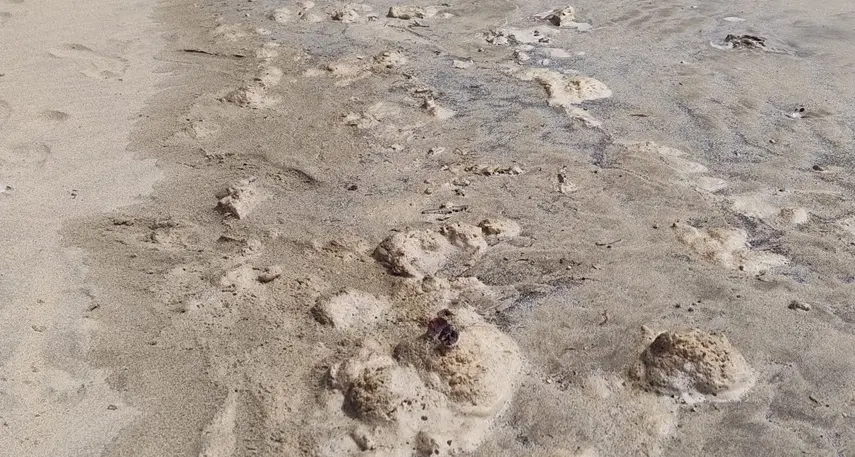 Presencia de los restos fecales este pasado fin de semana donde Sanidad tom&oacute; muestras en la Punta del Camello, junto al aliviadero del Consorcio del Agua de Lanzarote.