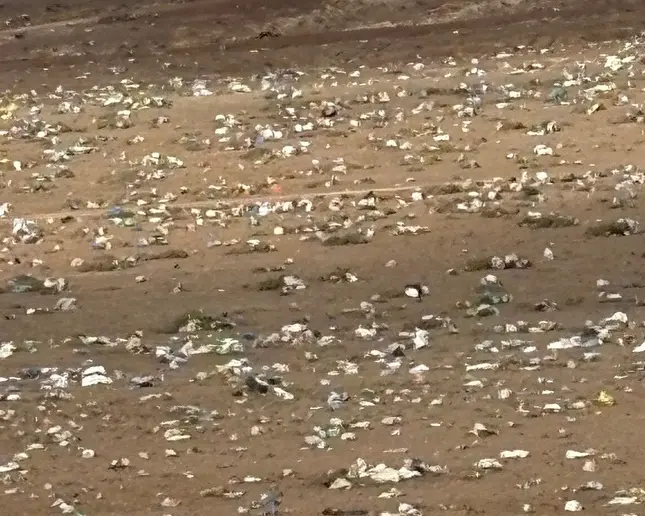 Bolsas en la zona de Zonzamas.