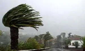 Imagen de uno de los d&iacute;as de viento y lluvia en la Isla.