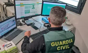 Imagen de un guardia civil investigando delitos inform&aacute;ticos.