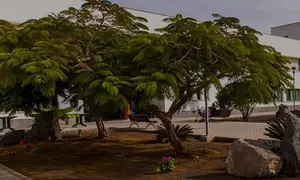 Imagen de la residencia que gestiona Amavir en T&iacute;as.