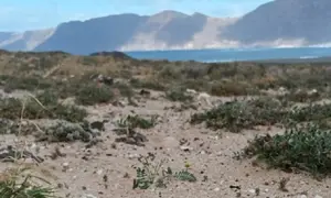 Imagen de zona de jable enfrente de Famara.