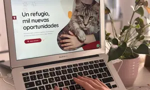 Cartel de nuevo servicio ofrecido por el Ayuntamiento de San Bartolom&eacute;.