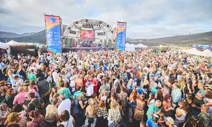 Imagen de archivo de Son&iacute;dos L&iacute;quidos.