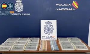 Imagen del material y el dinero incautado por la Polic&iacute;a Nacional