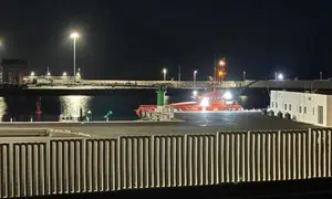 Imagen de archivo de otro rescate en Puerto Naos.