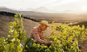 Imagen de un viticultor de Lanzarote.