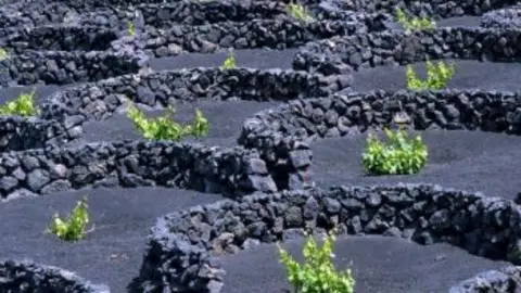 EL LANZAROTE PLAYAS DEL SUR OFRECI&Oacute; UNA BUENA IMAGEN EN ESTE PARTIDO. 