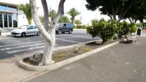 EL CD. TAH&Iacute;CHE FUE MERECEDOR DE UN MEJOR RESULTADO.