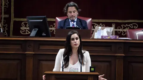 Vidina Espino durante el pleno (Foto Archivo)