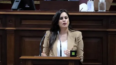 Vidina Espino durante un pleno (Foto Archivo) III