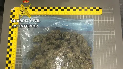 foto mcs marihuana FVT