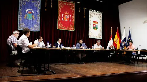 Vista general del Pleno