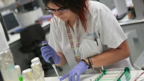 pruebas pcr