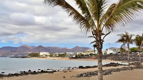 DH FotógrafaIMG_4422