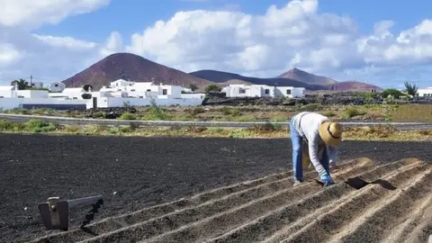 Imagen de una de las pocas personas que todavía se dedica al campo en Lanzarote.