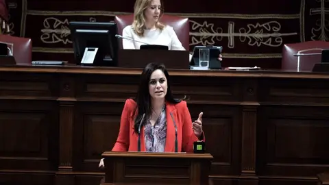 Vidina Espino durante un pleno (Foto de Archivo)