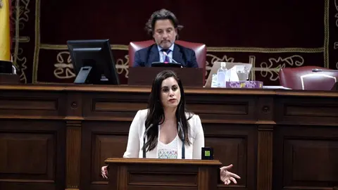 Vidina Espino durante un pleno (Foto Archivo) (2)