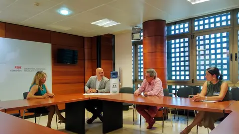 200729 Reunión Cabildo Lanzarote 1