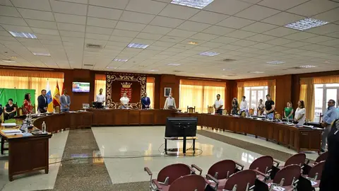 Pleno ordinario de Julio del Cabildo (4)