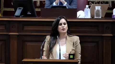 Vidina Espino durante un pleno (Foto Archivo) III