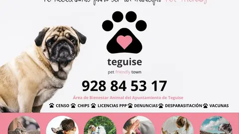 CARTEL PET FRIENDLY TOWN