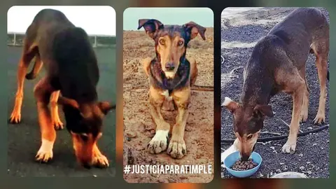 IMG_20200814_003828_526