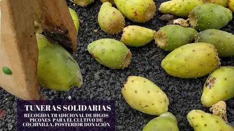 TUNERAS SOLIDARIAS web