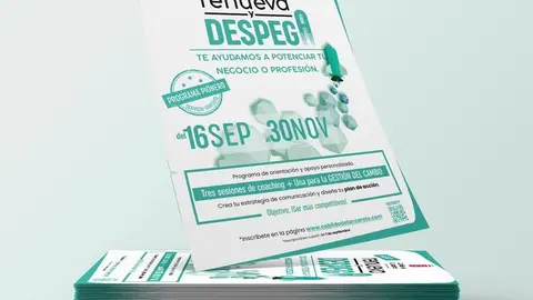 Flyer Renueva y Despega