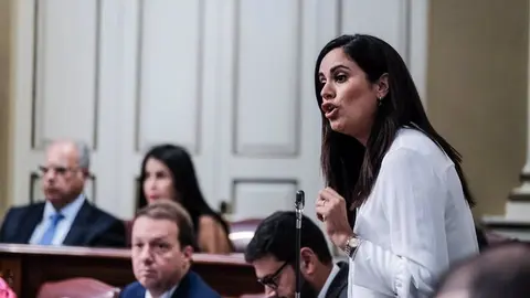 Vidina Espino, portavoz del Grupo Mixto.