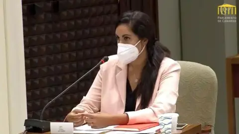 vidina masc 2