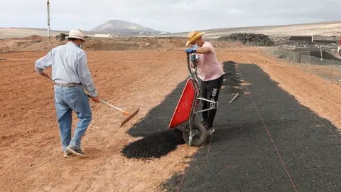 SIEMBRA CEBOLLINOS TEGUISE 2