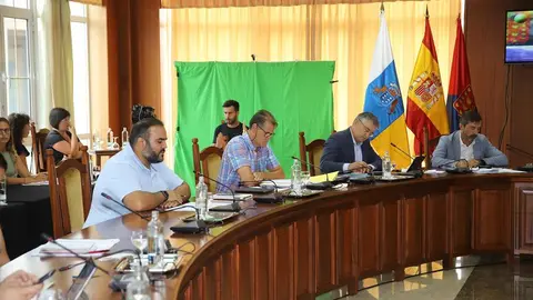 pleno cabildo 31 de julio (9)