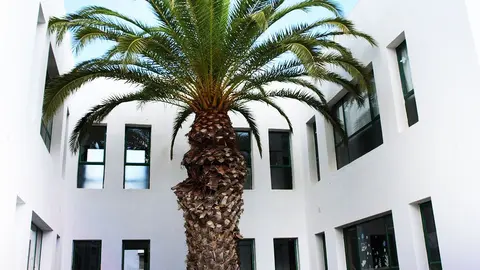 Imagen del CEIP San Juan.