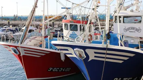 barcos