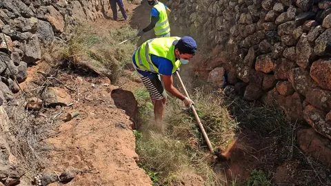 Limpieza barranco Teseguite (3)