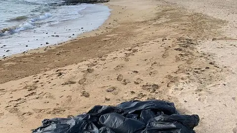 Basura retirada de la playa del Castillo de San Gabriel, dentro del Plan del Ayuntamiento de Arrecife