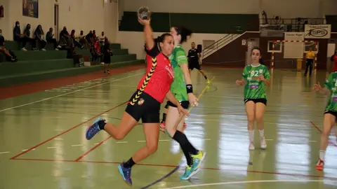 PALENCIA TURISMO - ZONZAMAS (2)