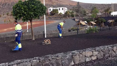 Mejora jardines SB 2