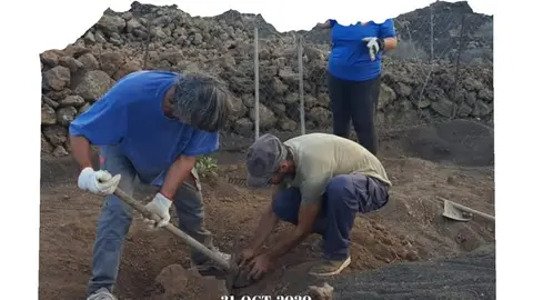 CARTEL VOLUNTARIADO 31 OCT web