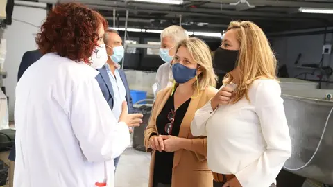 Consj Agricultura  (2)