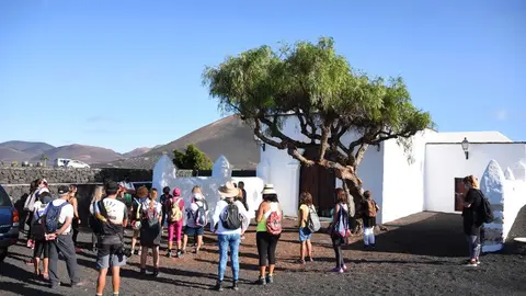 Sendero por La Geria 1