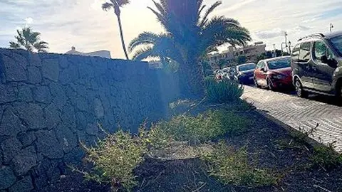 IMG_20201110_105609_opt