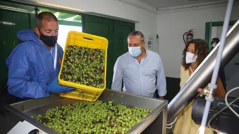 Almazara insular 2020 (5)